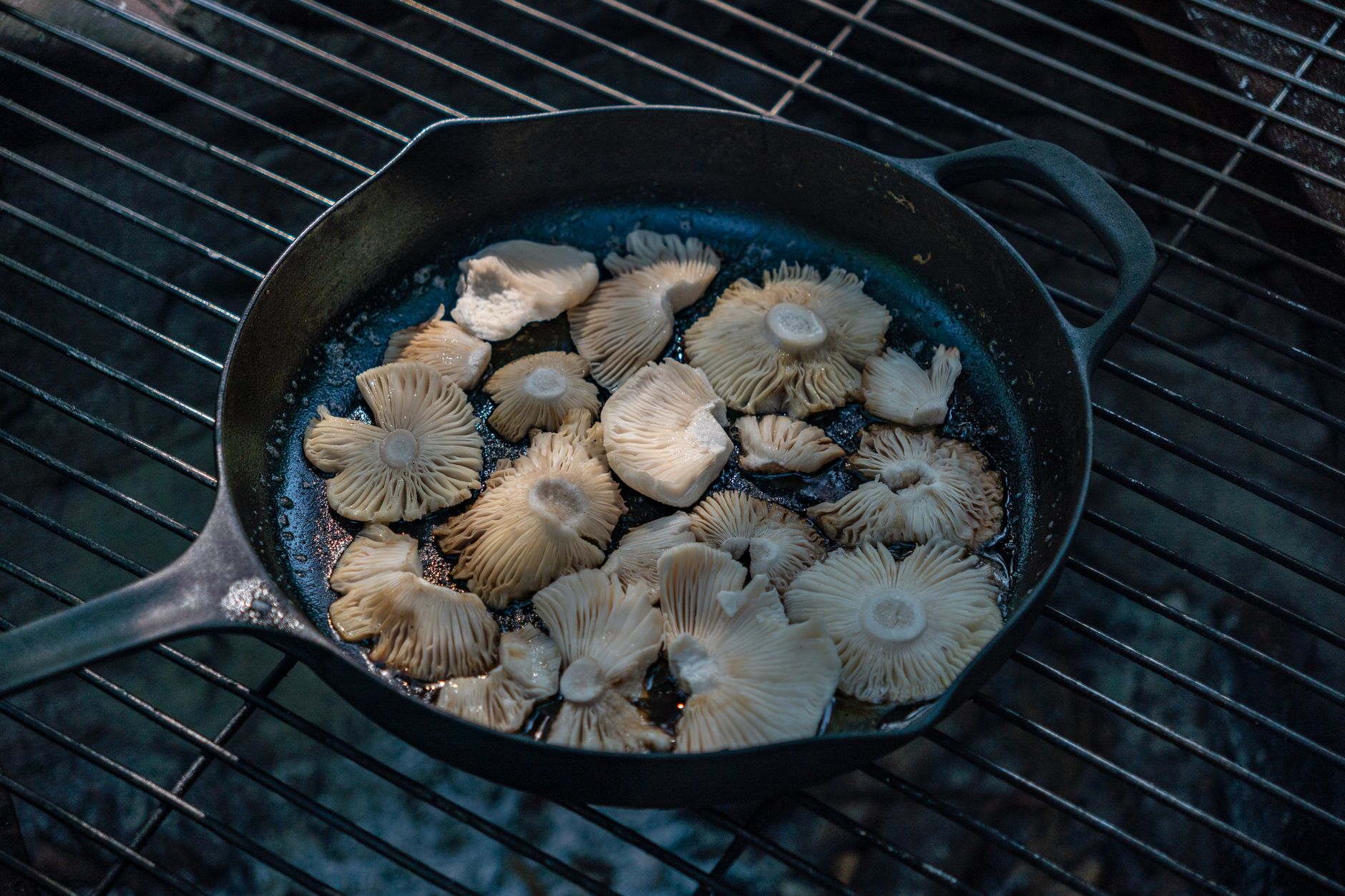 a cast iron skillet with vegetables cooking on a stovetop